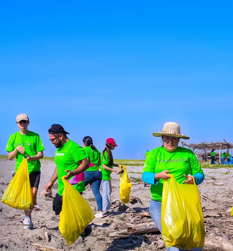 TP volunteers working together to clean and care for a natural public area.