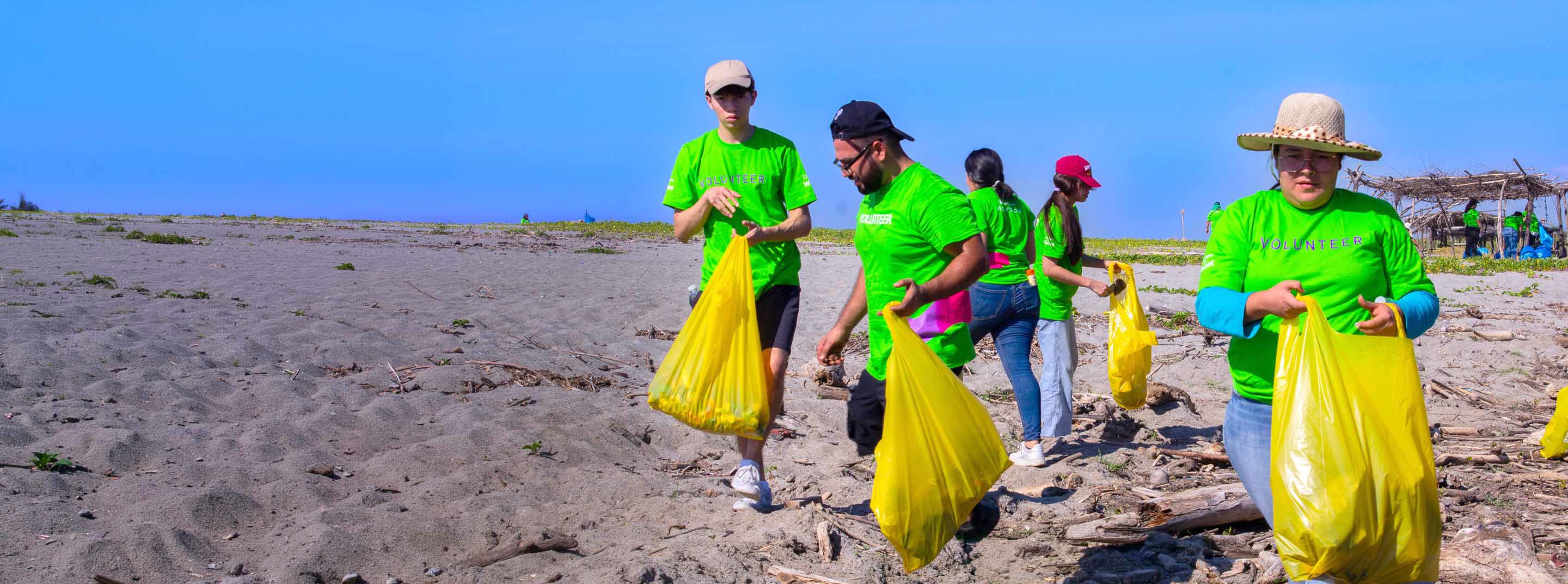 TP volunteers working together to clean and care for a natural public area.