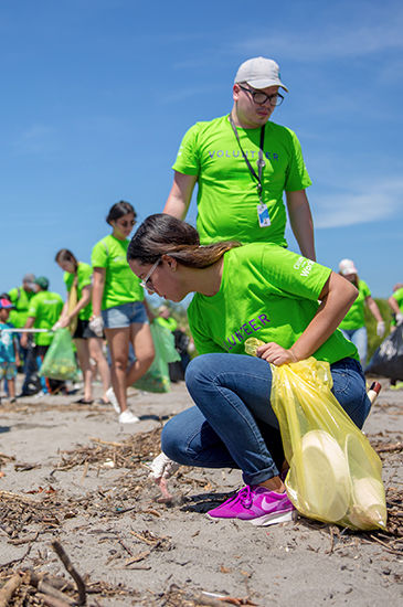 Un grupo de personas con camisetas verdes limpia una playa, recogiendo basura con bolsas. El evento se lleva a cabo bajo un cielo azul despejado.