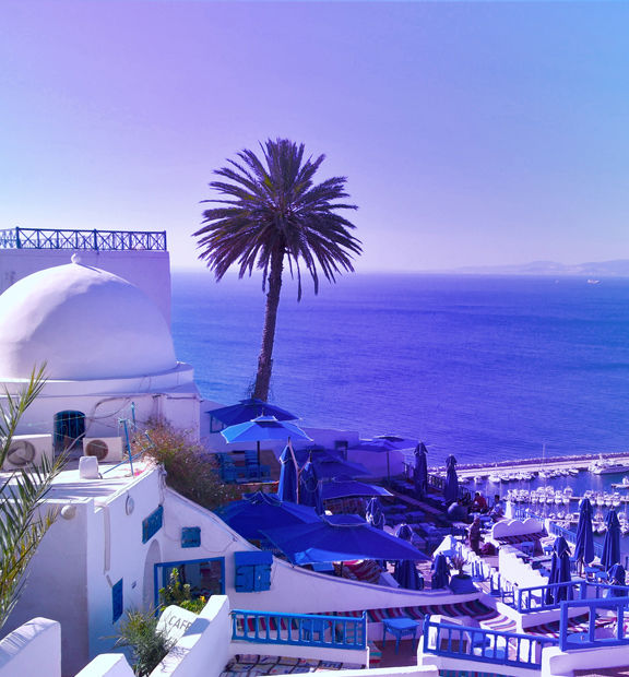 Panoramic view of a coastal marina in Tunisia, with white Mediterranean-style buildings and palm trees overlooking deep blue water, boats, and a mountain-lined horizon.