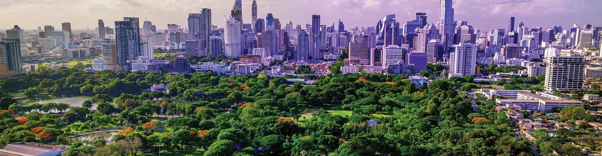 Bangkok skyline overlooking Lumpini Park.