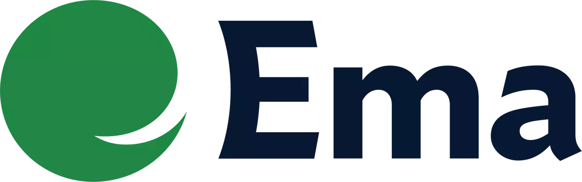 TP GMT logo for EMEA region branding, April 2025 version.