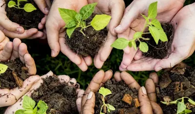 Leading The Way In Climate Action With TP’S 2030 Carbon Reduction Targets