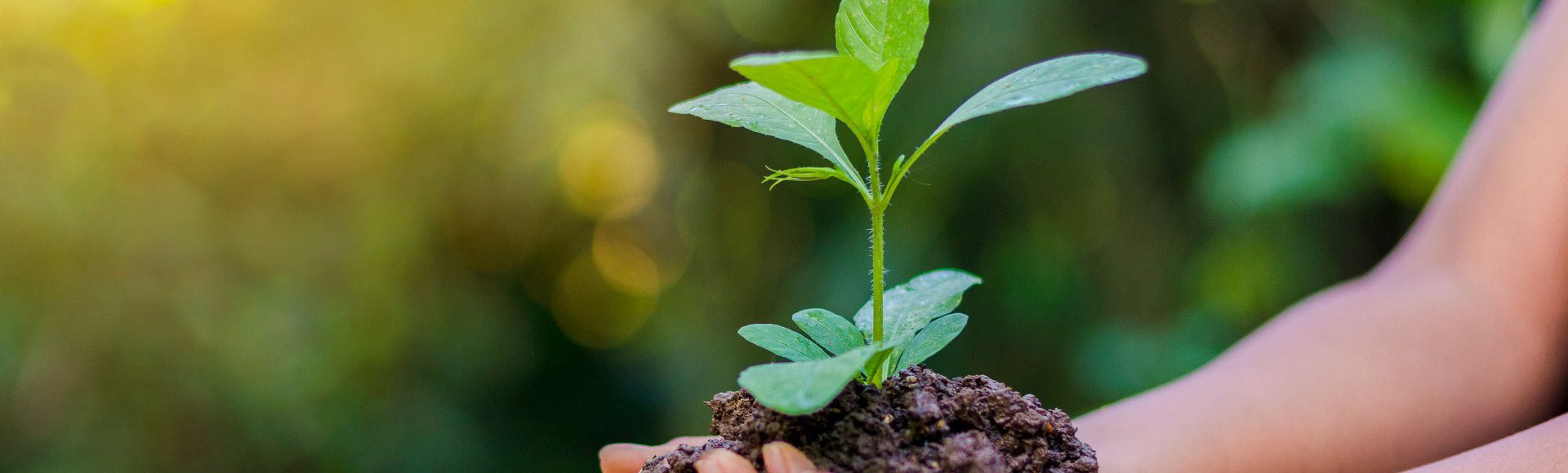 TP: A Strong ESG Performance