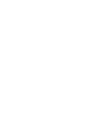 White check icon 