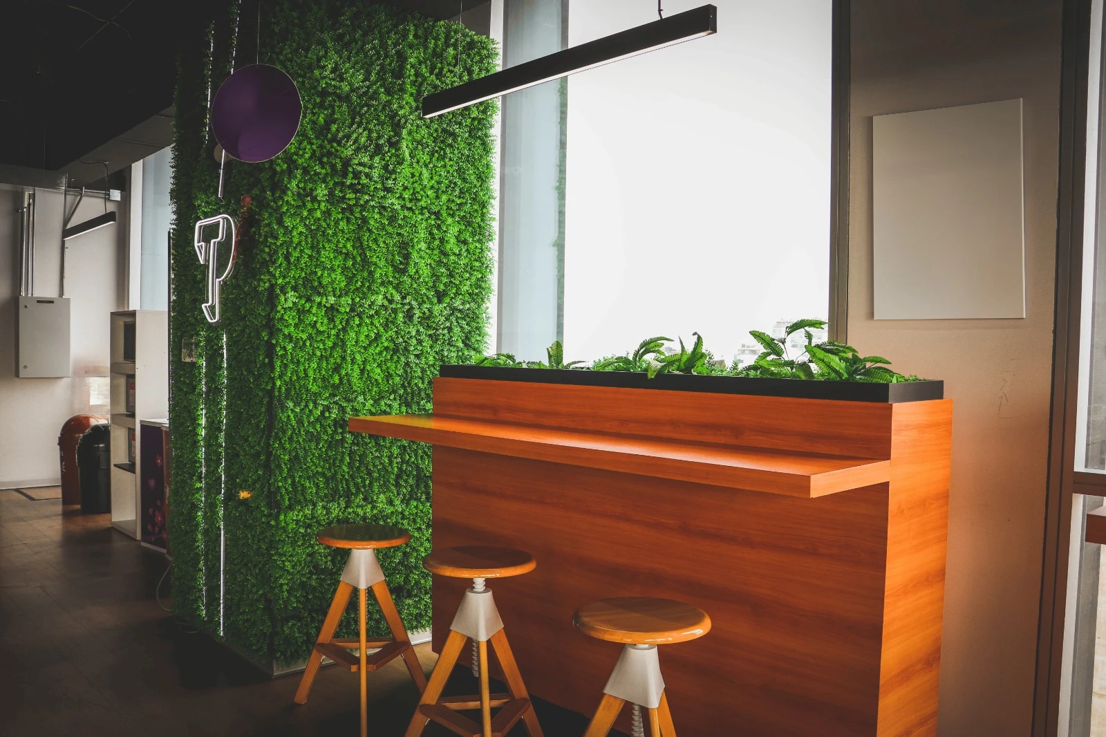 TP relaxation area with wooden bar seating, indoor plants, and a green wall with a neon TP logo.