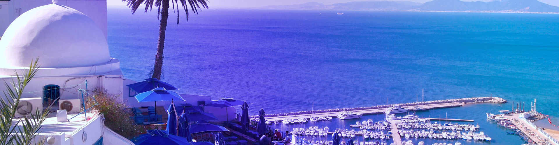 Panoramic view of a coastal marina in Tunisia, with white Mediterranean-style buildings and palm trees overlooking deep blue water, boats, and a mountain-lined horizon.