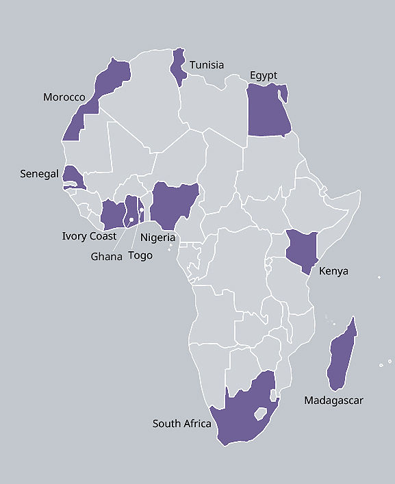 African map highlighting TP's presence in eleven countries