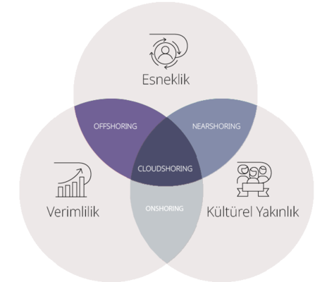 Hizmet Modellerimiz  Smart-Shoring 