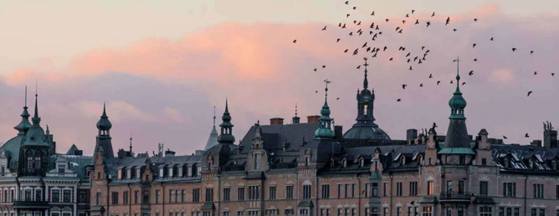 Invecklade taktorn står ovanför utsmyckade byggnader, medan fåglar flyger över en mjukt rosa solnedgångshimmel och skapar en pittoresk och fridfull stadsprofil.